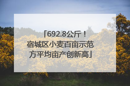 692.8公斤！宿城区小麦百亩示范方平均亩产创新高